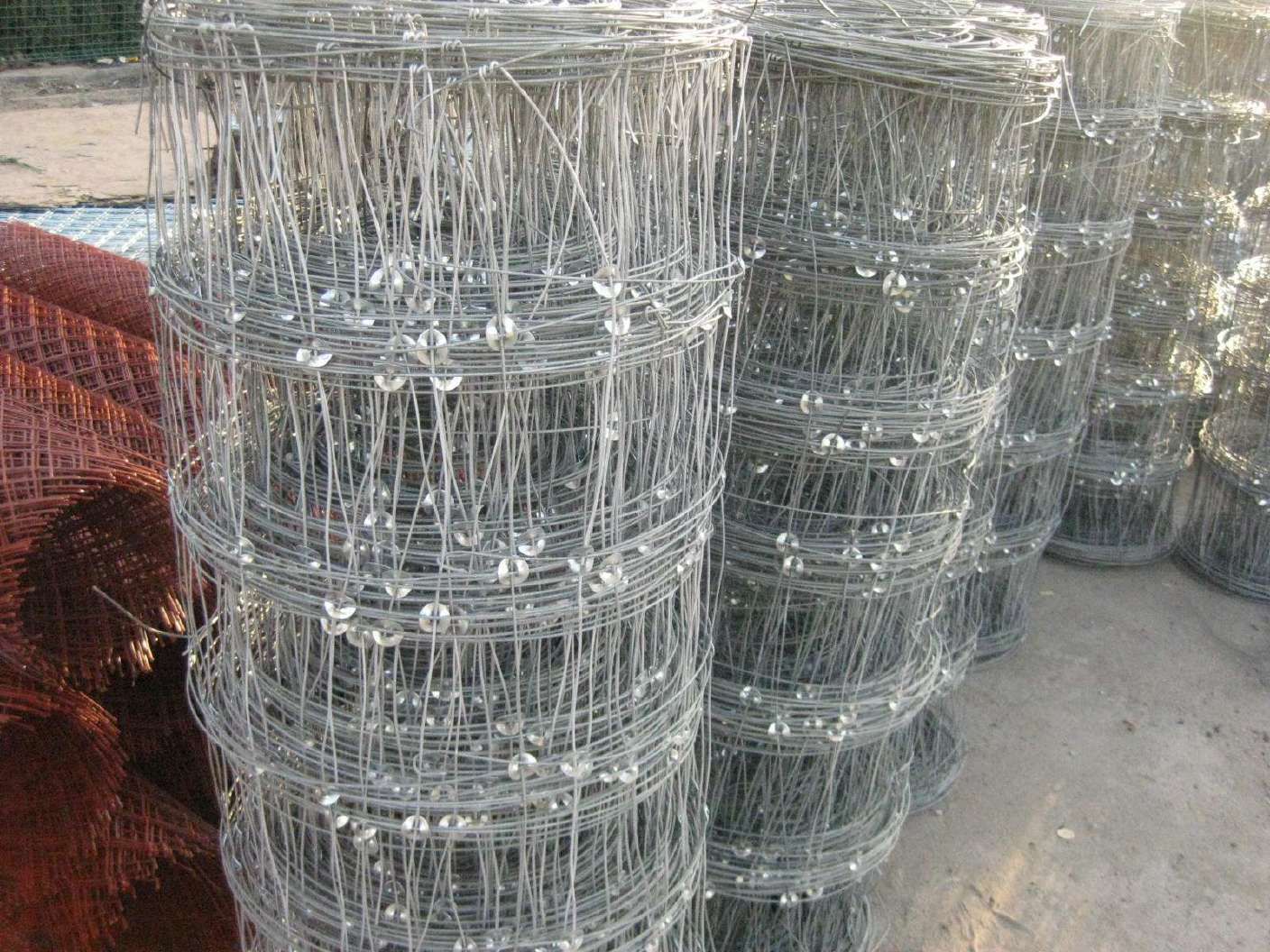台湾钢丝网笼